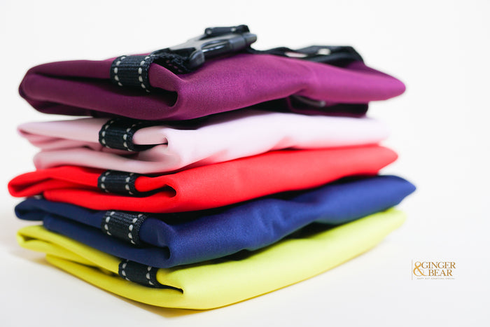 The Rain Paw, raincoat for Dogs, in Red and Graphite