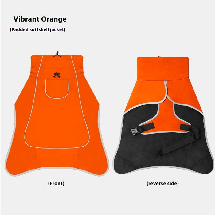 Autumn And Winter Orange / S