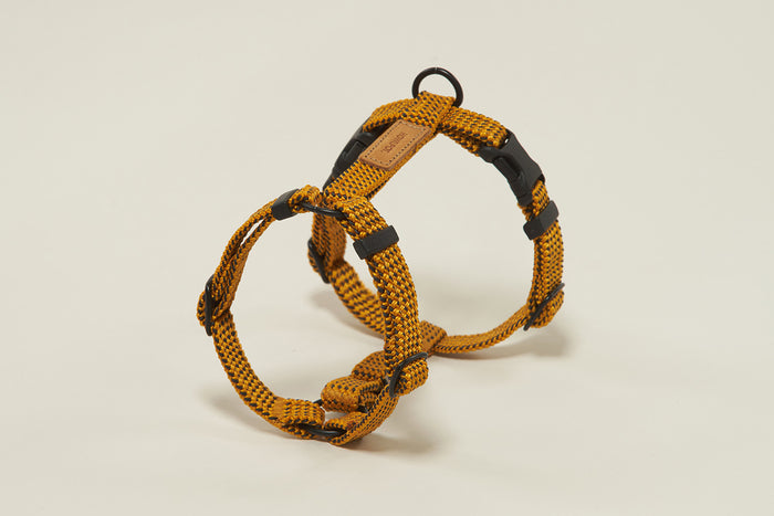 HowlPot We are Tight Harness Yellow Jacket dog